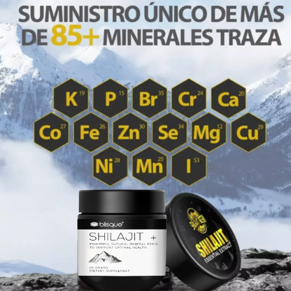 SHILAJIT | Energía Natural del Himalaya para Cuerpo y Mente