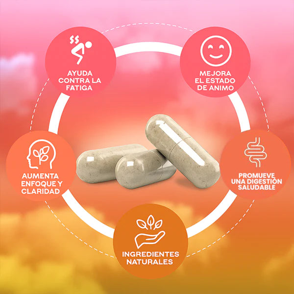 YERBA MATE 60 CÁPSULAS