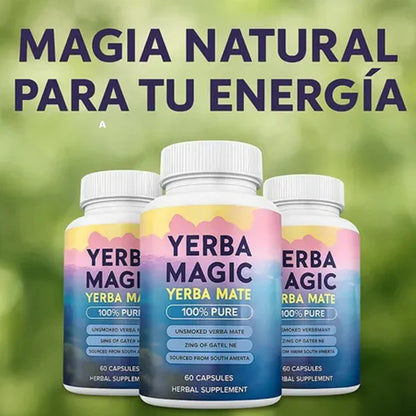 YERBA MATE 60 CÁPSULAS